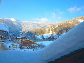 Chalet mit Sauna und Sommergastekarte Zell am See